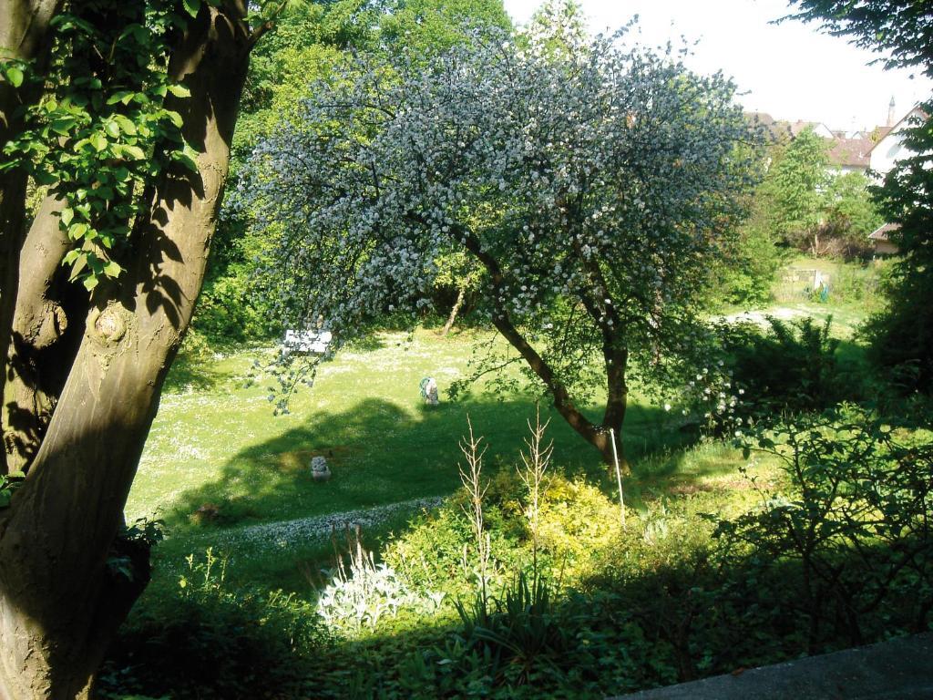 Hotel B&B Bredl In Der Villa Ballestrem 施特劳宾 客房 照片